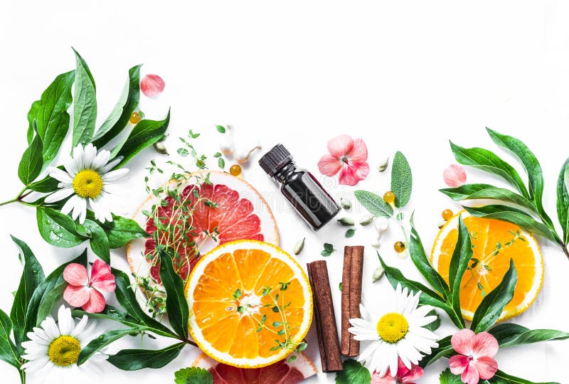 Ätherisches Öl für Schönheitshaut Flache Lageschönheitsbestandteile auf einem hellen Hintergrund, Draufsicht Gesundes Lebensstilk stockfotos Ätherisches Öl für Schönheitshaut Flache Lageschönheitsbestandteile auf einem hellen Hintergrund, Draufsicht Gesundes Lebensstilk stockfotos