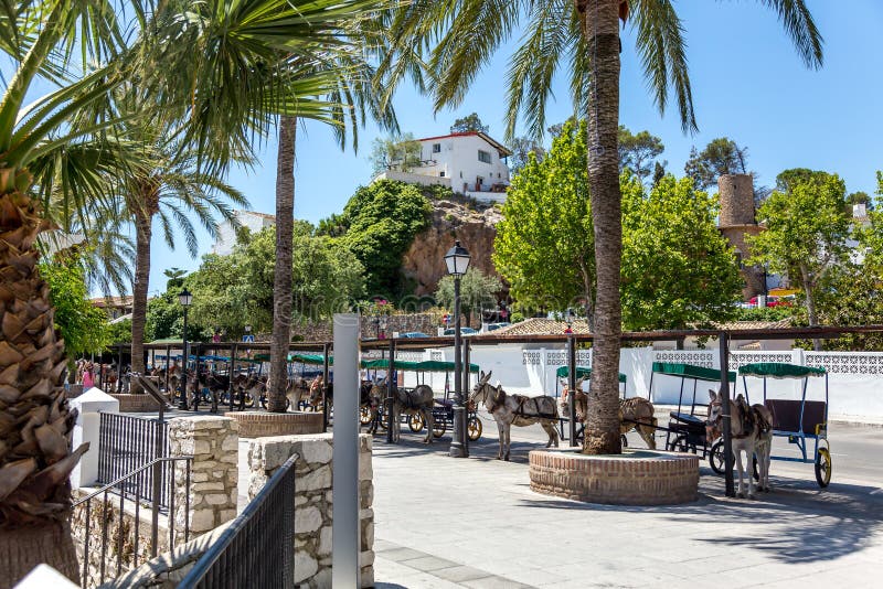 Donkeys in Mijas in shade waiting for customers . Donkeys in Mijas in shade waiting for customers .