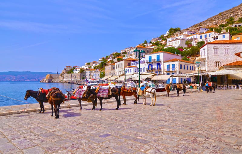 Donkeys the means of transport at Hydra island Saronic Gulf Greece. Donkeys the means of transport at Hydra island Saronic Gulf Greece