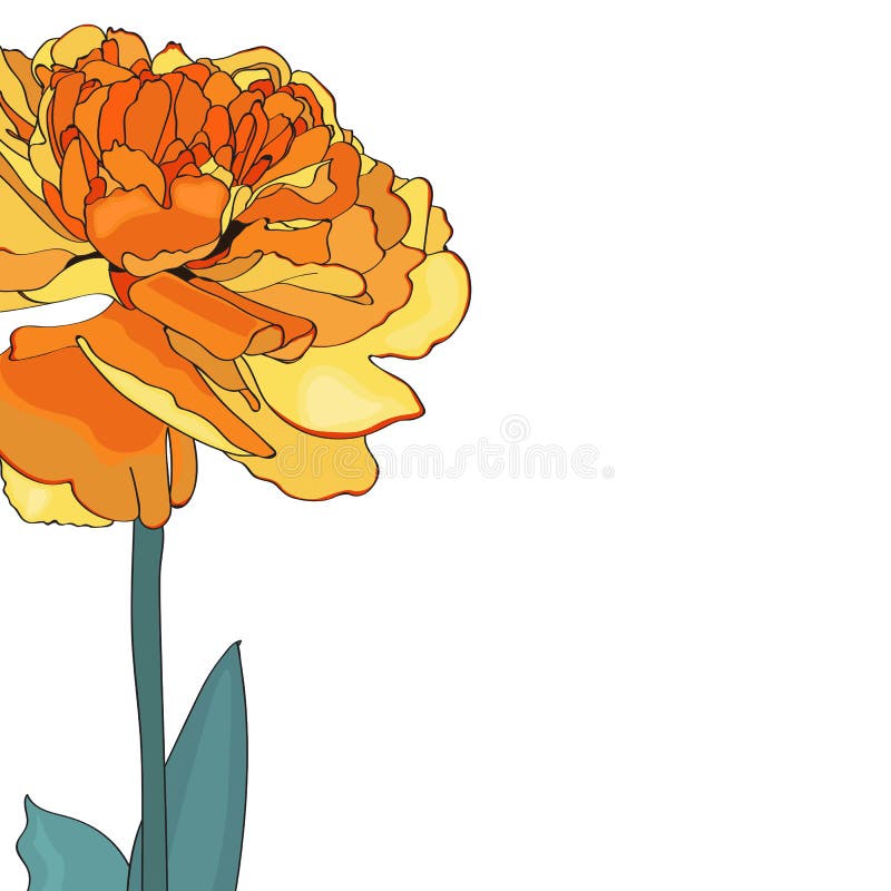 Żółta tulipanowa elegancka karta Wiosna dekoracyjny bukiet Mała kwiecista girlanda royalty ilustracja Żółta tulipanowa elegancka karta Wiosna dekoracyjny bukiet Mała kwiecista girlanda royalty ilustracja