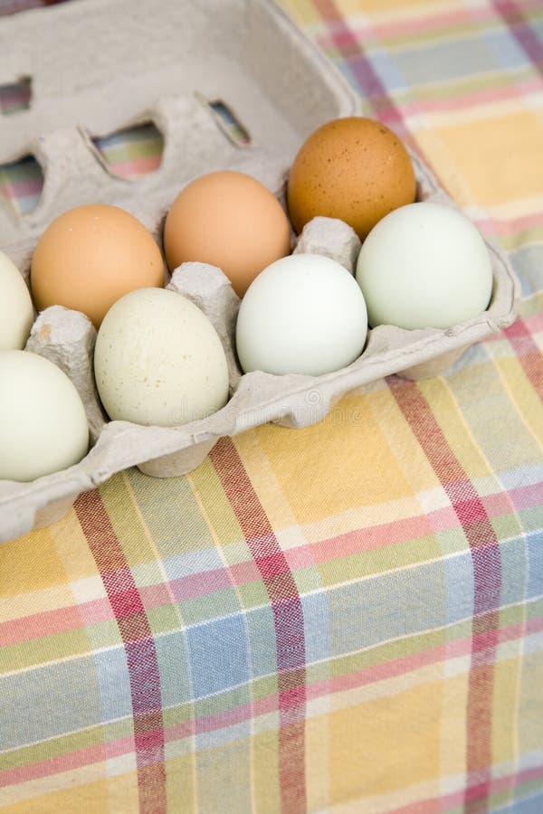 Świeży, organicznie, brązowić, zieleń i błękita Araucana jajka dla sprzedaży przy rolnikami wprowadzać na rynek zdjęcie royalty free Świeży, organicznie, brązowić, zieleń i błękita Araucana jajka dla sprzedaży przy rolnikami wprowadzać na rynek zdjęcie royalty free
