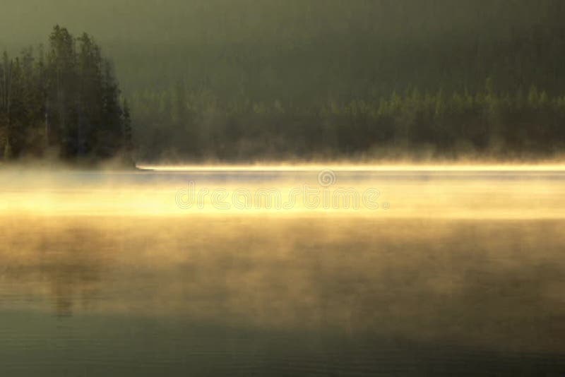 Écheveaux de brume effilée dérivant au-dessus d'un lac placide au lever de soleil