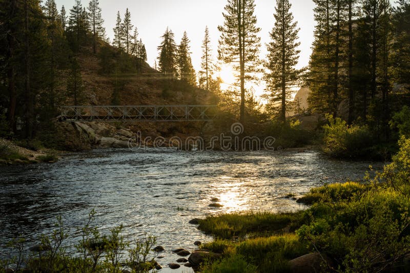 éclat léger sur la surface de la rivière en yosemite. éclat léger à la surface de la rivière dans le parc national yosemite