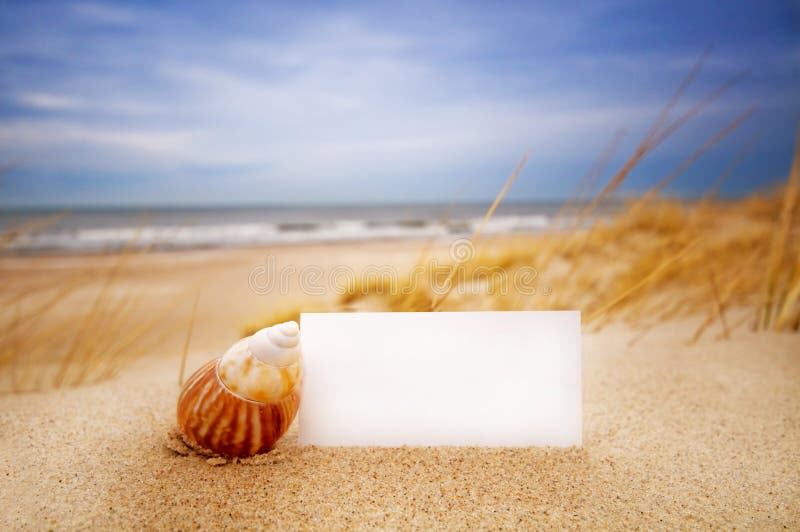 Blank white card for your message and a shell on summer beach. Blank white card for your message and a shell on summer beach