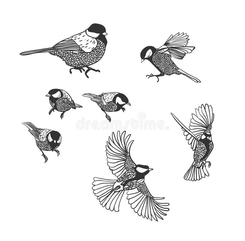Éléments de scénographie d'oiseaux de croquis de mésange illustration stock Éléments de scénographie d'oiseaux de croquis de mésange illustration stock