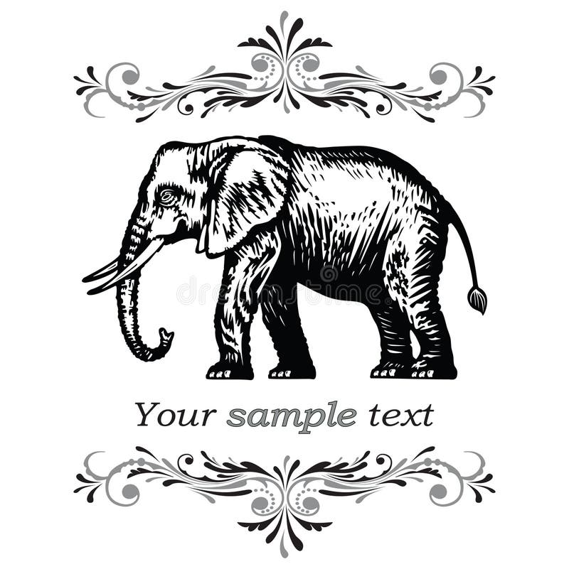 Graphic elephant on a white background. Floral design. Graphic elephant on a white background. Floral design.
