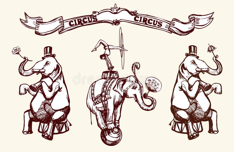 Éléphants de cirque illustration stock Éléphants de cirque illustration stock