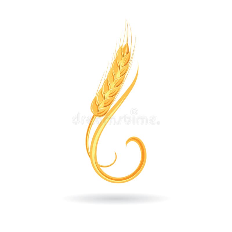 Épillet de blé Blé agricole, symbole, d'isolement sur le fond blanc illustration de vecteur Épillet de blé Blé agricole, symbole, d'isolement sur le fond blanc illustration de vecteur