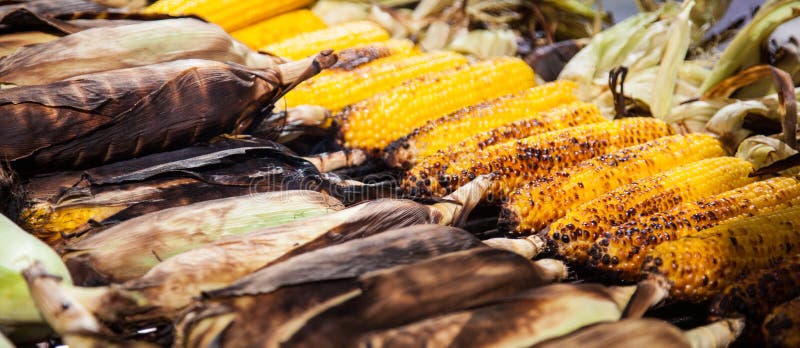 Fine roasted corncobs at food fair. Fine roasted corncobs at food fair