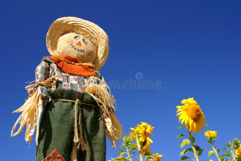Épouvantail dans un domaine de tournesol photographie stock libre de droits Épouvantail dans un domaine de tournesol photographie stock libre de droits