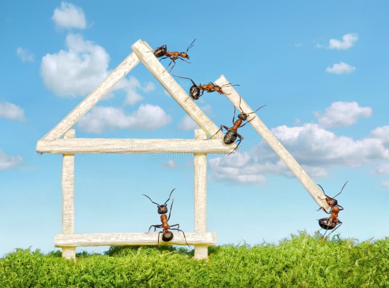 Équipe des fourmis construisant la maison en bois
