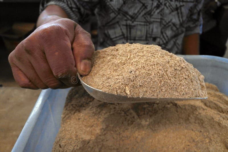 Équipez la poudre de vente de la racine d'usine de poivre employée pour produire un Kava