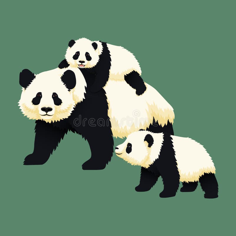 Équitation de sourire heureuse de panda géant de bébé au dos d'un panda adulte avec un autre petit animal de panda presque marcha illustration stock Équitation de sourire heureuse de panda géant de bébé au dos d'un panda adulte avec un autre petit animal de panda presque marcha illustration stock