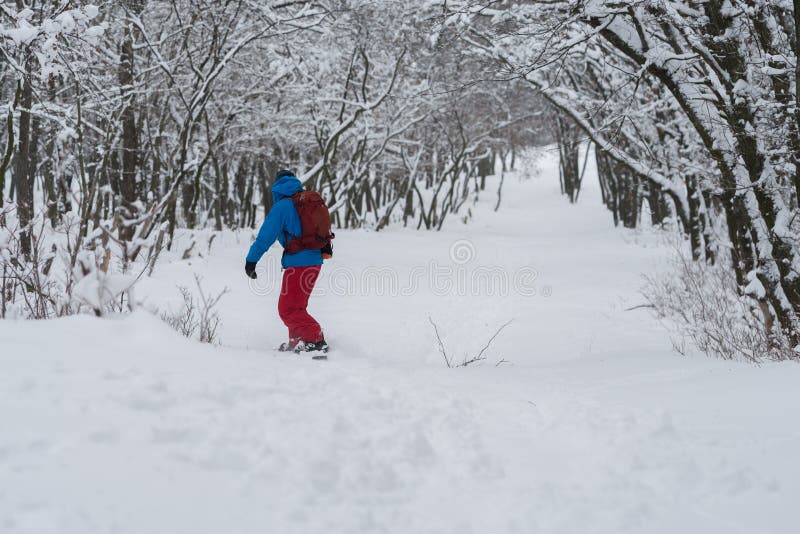 Équitation de surfeur le long de la pente de forêt, après des chutes de neige image libre de droits Équitation de surfeur le long de la pente de forêt, après des chutes de neige image libre de droits