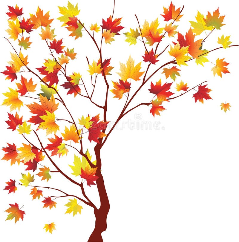 Érable d'automne illustration stock Érable d'automne illustration stock