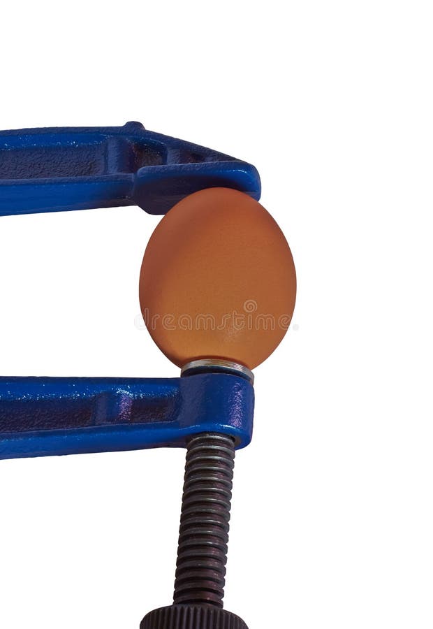 Étau maintenu par oeuf pour le bois photographie stock libre de droits Étau maintenu par oeuf pour le bois photographie stock libre de droits