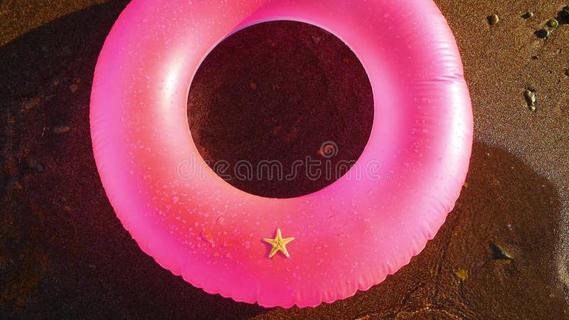 Étoiles de mer sur le cercle gonflable rose clips vidéos