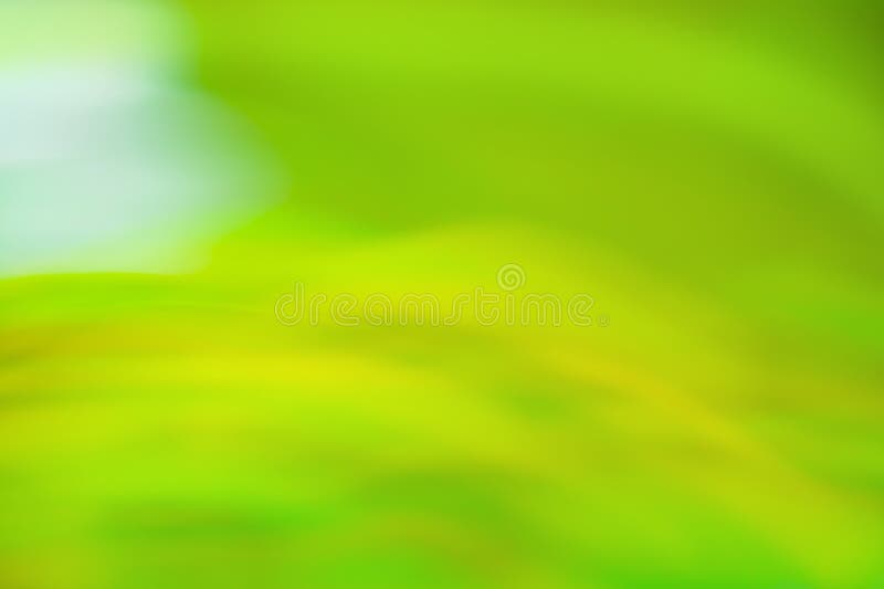 étonnant flou et champ de focalisation souple dans le jardin. terrain d'herbe avec soleil bokeh photos stock étonnant flou et champ de focalisation souple dans le jardin. terrain d'herbe avec soleil bokeh photos stock