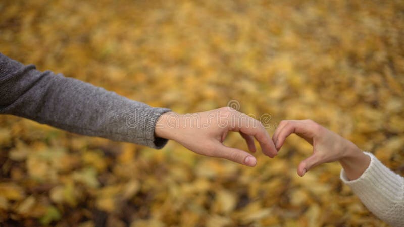 Étudiants affectueux mettant leurs mains dans la forme du coeur, romance d'automne, date