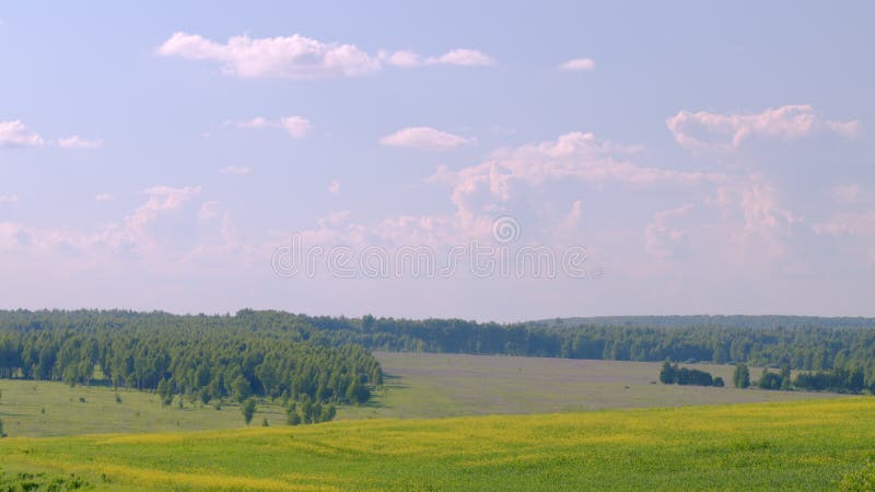 été agriculture saison panoramique nature statique vue. banque de vidéos