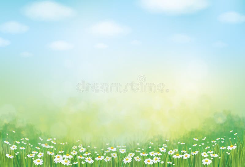 Été de vecteur, vert, fond de nature illustration stock Été de vecteur, vert, fond de nature illustration stock