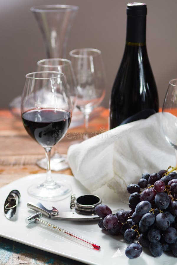 Événement professionnel d'échantillon de vin rouge avec le verre de vin de haute qualité images stock Événement professionnel d'échantillon de vin rouge avec le verre de vin de haute qualité images stock