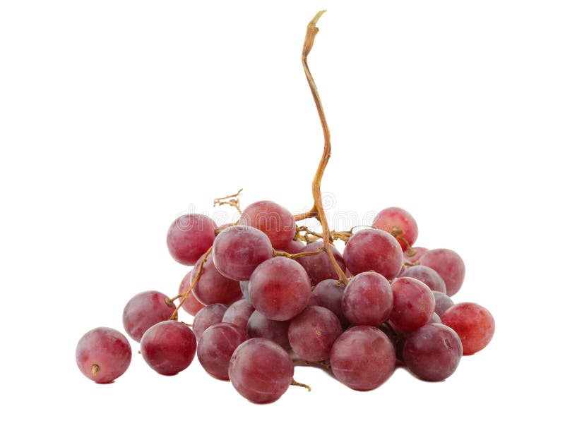 Één druif van rode druiven Geïsoleerdj op witte achtergrond royalty-vrije stock foto's