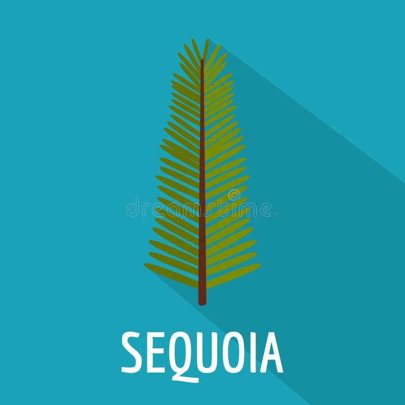 Ícone da folha da sequoia, estilo liso ilustração stock Ícone da folha da sequoia, estilo liso ilustração stock
