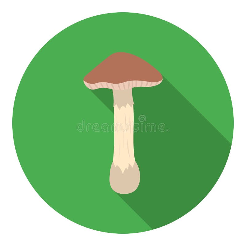 Ícone do cogumelo venenoso no estilo liso no fundo branco Ilustração do vetor do estoque do símbolo do cogumelo ilustração royalty free Ícone do cogumelo venenoso no estilo liso no fundo branco Ilustração do vetor do estoque do símbolo do cogumelo ilustração royalty free