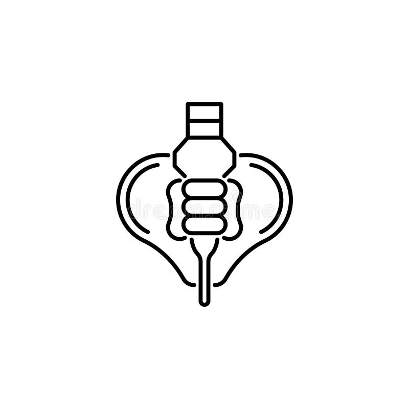 Ícone do esboço da pelve do órgão humano Os sinais e os símbolos podem ser usados para a Web, logotipo, app móvel, UI, UX ilustração royalty free Ícone do esboço da pelve do órgão humano Os sinais e os símbolos podem ser usados para a Web, logotipo, app móvel, UI, UX ilustração royalty free