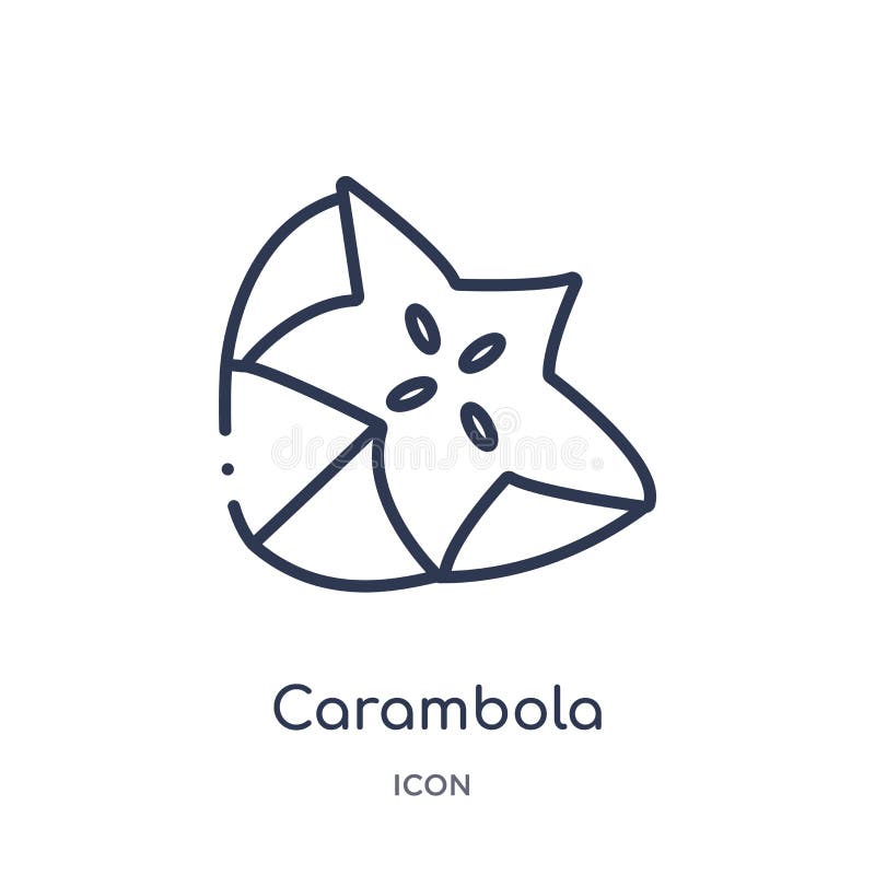 Ícone linear do carambola da coleção do esboço dos frutos Linha fina ícone do carambola isolado no fundo branco carambola na moda ilustração stock Ícone linear do carambola da coleção do esboço dos frutos Linha fina ícone do carambola isolado no fundo branco carambola na moda ilustração stock