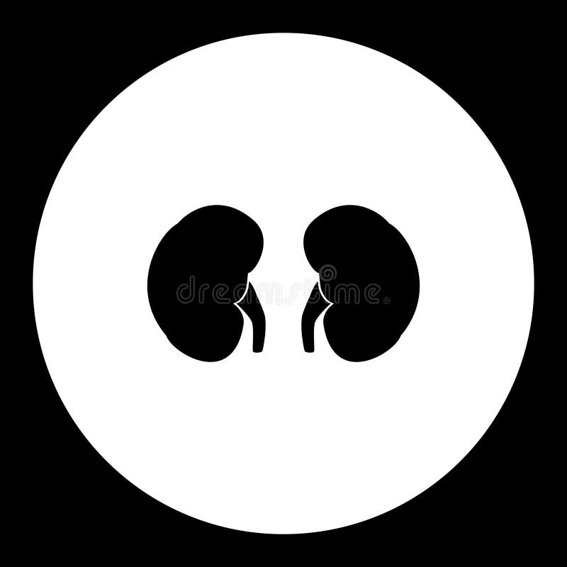 Ícone preto simples médico eps10 do órgão interno dos rins ilustração stock Ícone preto simples médico eps10 do órgão interno dos rins ilustração stock