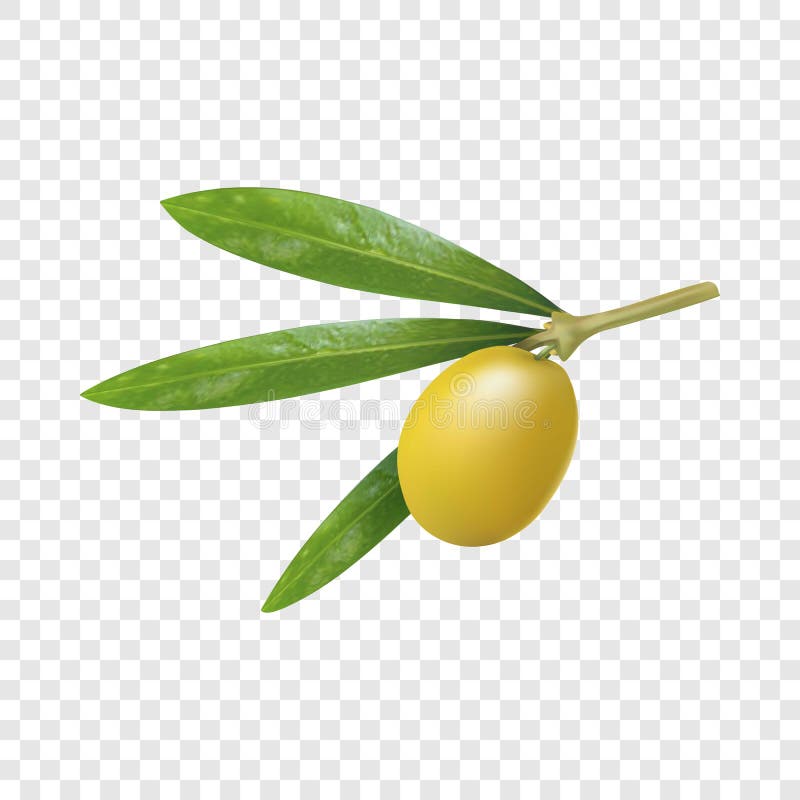 Ícone verde-oliva grego verde, estilo realístico ilustração stock Ícone verde-oliva grego verde, estilo realístico ilustração stock