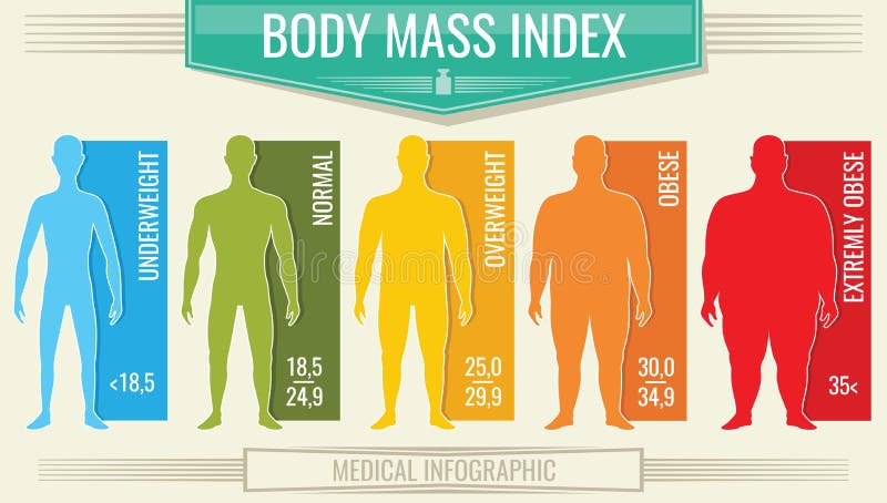 Índice de masa corporal del hombre Vector la carta del bmi de la aptitud con las siluetas masculinas y escálela libre illustration Índice de masa corporal del hombre Vector la carta del bmi de la aptitud con las siluetas masculinas y escálela libre illustration