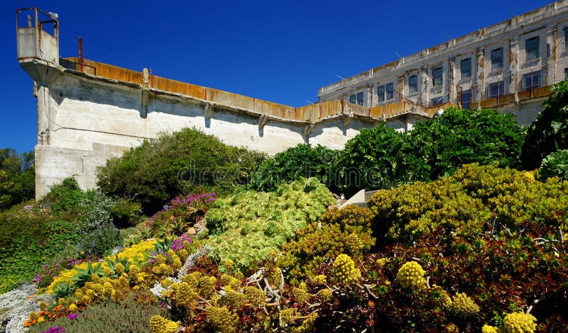 Île d'Alcatraz images libres de droits