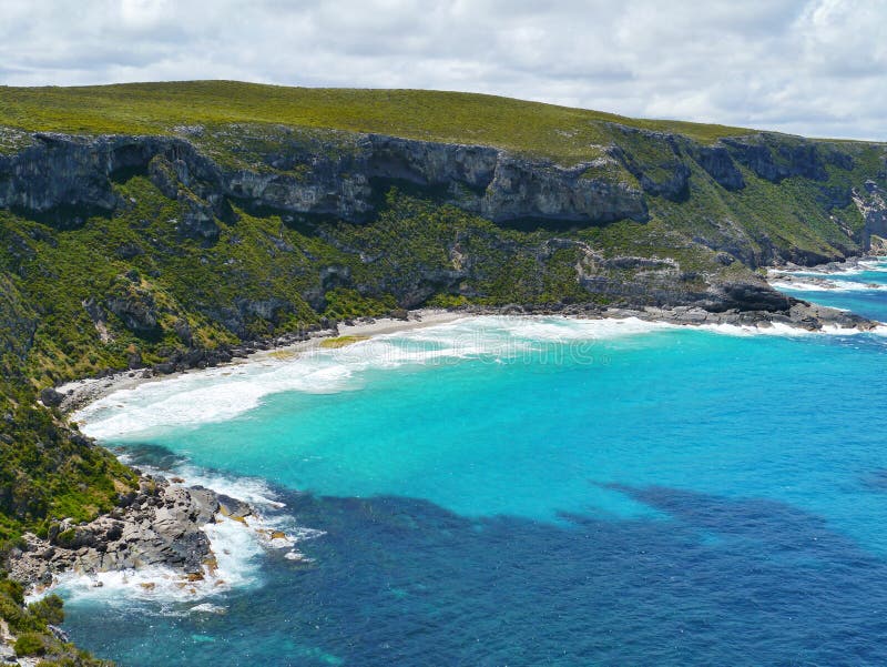 Île de kangourou dans l'Australie photographie stock Île de kangourou dans l'Australie photographie stock