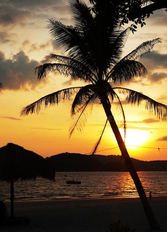 Langkawi Beach. Tilted Palm Tree Sunset. Langkawi Beach. Tilted Palm Tree Sunset