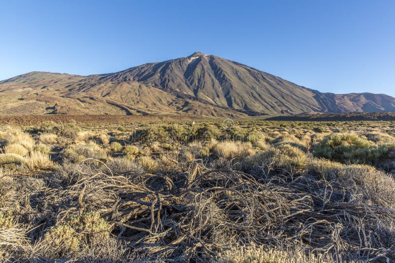Îles Canaries, Ténérife Parque Nacional Del Teide photo stock Îles Canaries, Ténérife Parque Nacional Del Teide photo stock