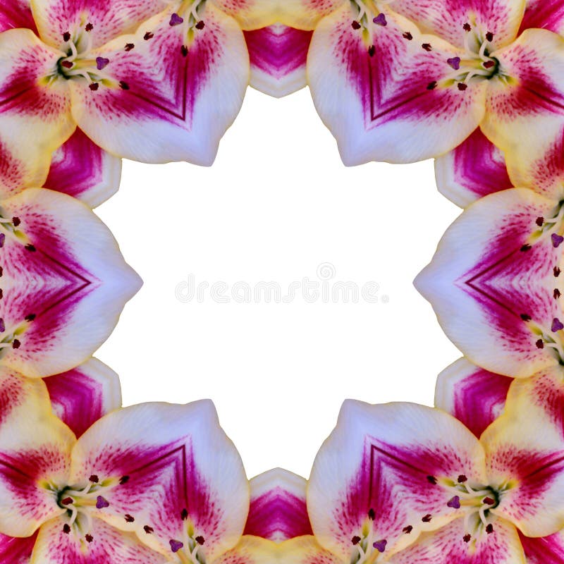 închidere macrocomandă concentrică galbenă a centrului florilor vector illustration