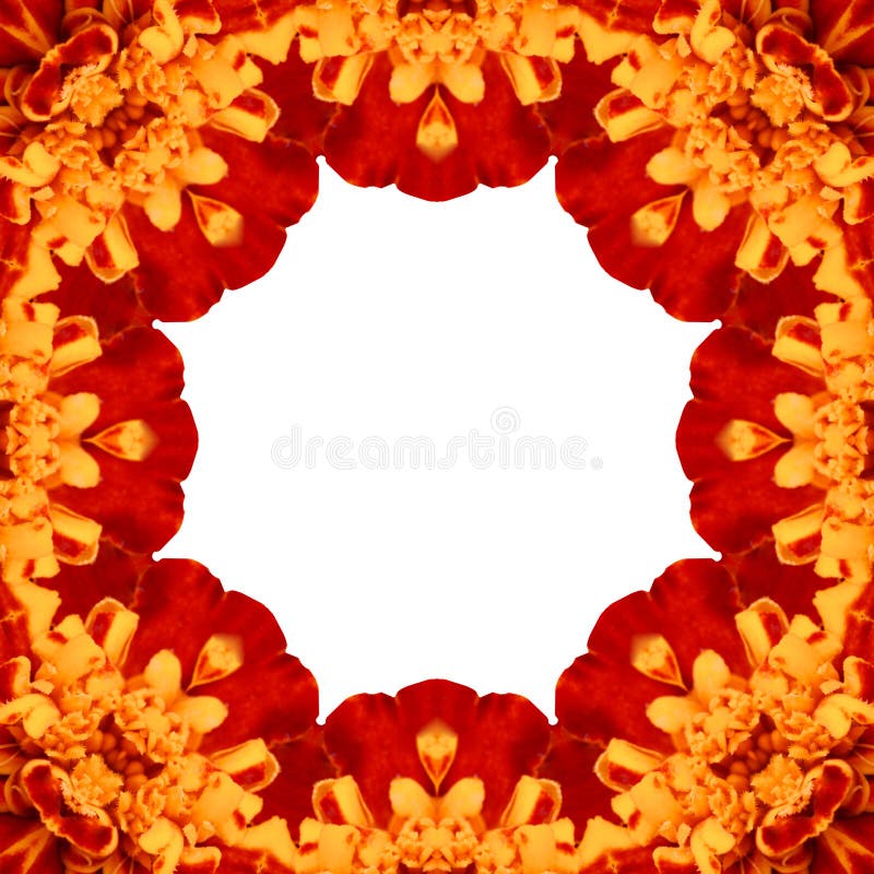 închidere macrocomandă concentrică galbenă a centrului florilor royalty free illustration