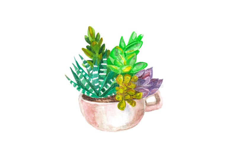 άνευ ραφής σχέδιο watercolor των κάκτων και succulents αρχαίο watercolor εγγράφου ανασκόπησης σκοτεινό κίτρινο ελεύθερη απεικόνιση δικαιώματος άνευ ραφής σχέδιο watercolor των κάκτων και succulents αρχαίο watercolor εγγράφου ανασκόπησης σκοτεινό κίτρινο ελεύθερη απεικόνιση δικαιώματος