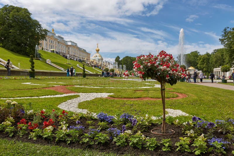 Άποψη του διάσημου ορόσημου του παλατιού Peterhof και των κήπων του, κοντά στην πόλη της Αγία Πετρούπολης στη Ρωσία κατά τη διάρκ στοκ φωτογραφίες με δικαίωμα ελεύθερης χρήσης Άποψη του διάσημου ορόσημου του παλατιού Peterhof και των κήπων του, κοντά στην πόλη της Αγία Πετρούπολης στη Ρωσία κατά τη διάρκ στοκ φωτογραφίες με δικαίωμα ελεύθερης χρήσης