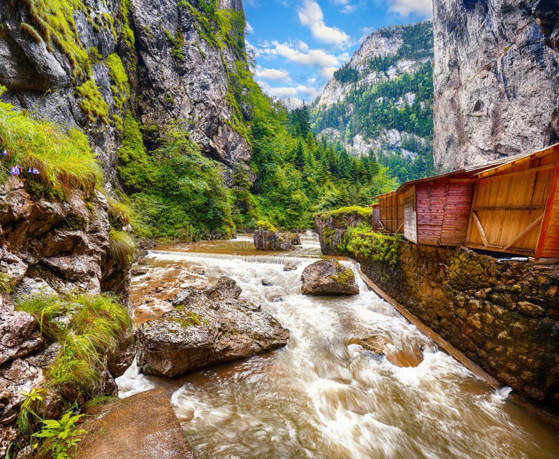 Γρήγορος ποταμός βουνών στο φαράγγι Bicaz/Cheile Bicazului στοκ εικόνες Γρήγορος ποταμός βουνών στο φαράγγι Bicaz/Cheile Bicazului στοκ εικόνες