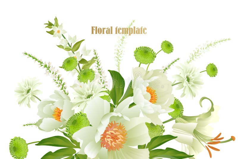 Λεπτός άσπρος κήπος κρητιδογραφιών peonies στο άσπρο υπόβαθρο Floral σχέδιο πολυτέλειας καρτών απεικόνιση αποθεμάτων