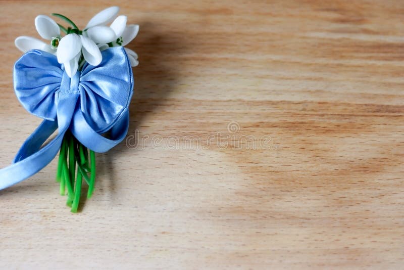 Μια μικρή ανθοδέσμη των όμορφων άσπρων snowdrops έδεσε με μια μπλε κορδέλλα με ένα τόξο μεταξιού σε ένα ξύλινο υπόβαθρο στοκ εικόνες Μια μικρή ανθοδέσμη των όμορφων άσπρων snowdrops έδεσε με μια μπλε κορδέλλα με ένα τόξο μεταξιού σε ένα ξύλινο υπόβαθρο στοκ εικόνες