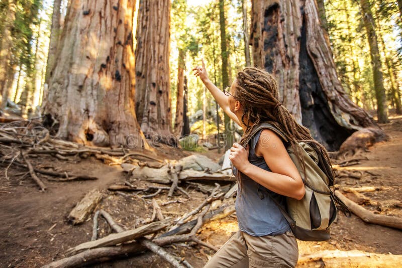 Οδοιπόρος Sequoia στο εθνικό πάρκο σε Καλιφόρνια, ΗΠΑ στοκ φωτογραφία