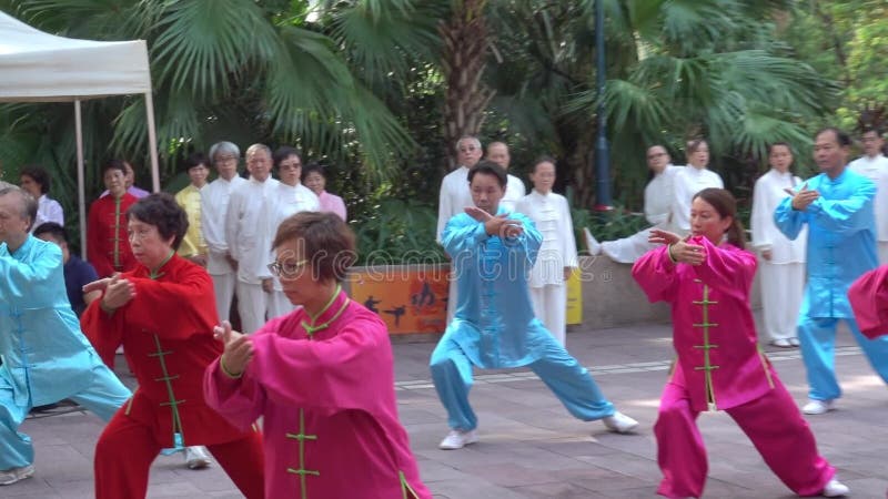 Οι κινεζικοί υπερήλικες εκτελούν Tai Chi στο πάρκο Kowloon απόθεμα βίντεο Οι κινεζικοί υπερήλικες εκτελούν Tai Chi στο πάρκο Kowloon απόθεμα βίντεο