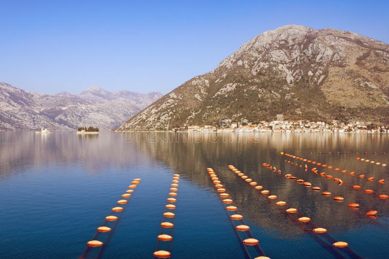 όμορφη Μεσόγειος τοπίων Longline αγρόκτημα μυδιών πολιτισμού Μαυροβούνιο, αδριατική θάλασσα, κόλπος Kotor στοκ φωτογραφίες όμορφη Μεσόγειος τοπίων Longline αγρόκτημα μυδιών πολιτισμού Μαυροβούνιο, αδριατική θάλασσα, κόλπος Kotor στοκ φωτογραφίες