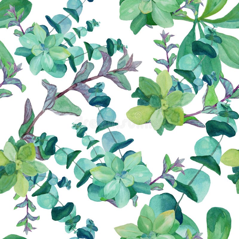 Σχέδιο Watercolor του ευκαλύπτου, nettle, μέντα, succulents διανυσματική απεικόνιση Σχέδιο Watercolor του ευκαλύπτου, nettle, μέντα, succulents διανυσματική απεικόνιση