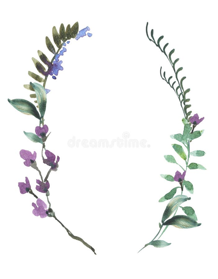 Φυσικό βοτανικό στεφάνι Watercolor των πράσινων φύλλων, Wildflowers, κλαδίσκοι απεικόνιση αποθεμάτων Φυσικό βοτανικό στεφάνι Watercolor των πράσινων φύλλων, Wildflowers, κλαδίσκοι απεικόνιση αποθεμάτων